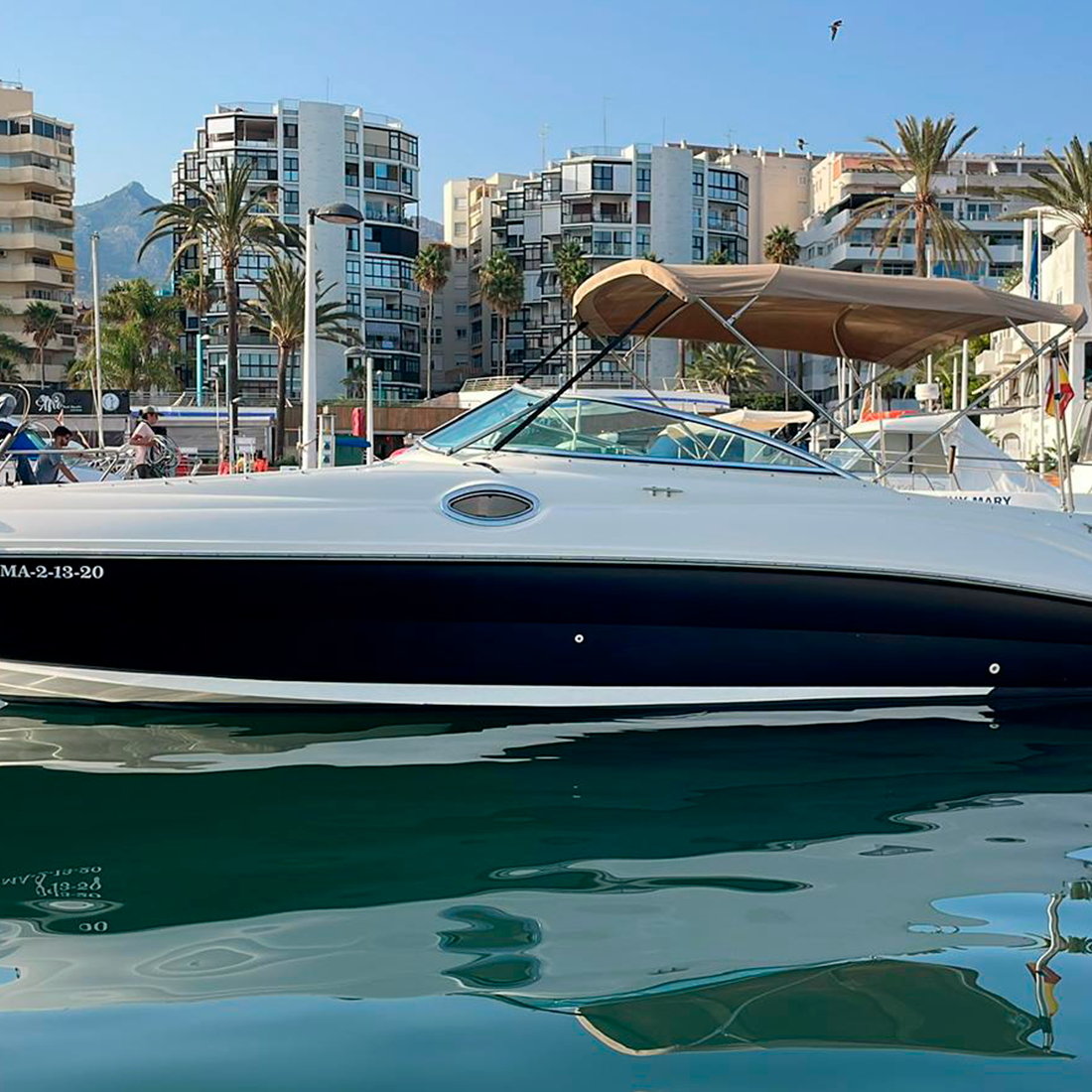 Barco Sea Ray 240 SD para alquilar en Marbella