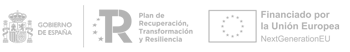 Logos-Plan-Kit-Digital-Gob-Espa-gris-350